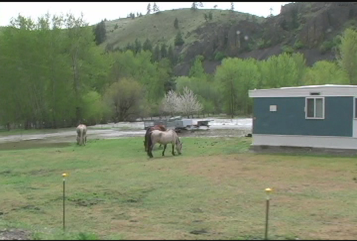 Thumbnail image for Manastash Flood May 2011