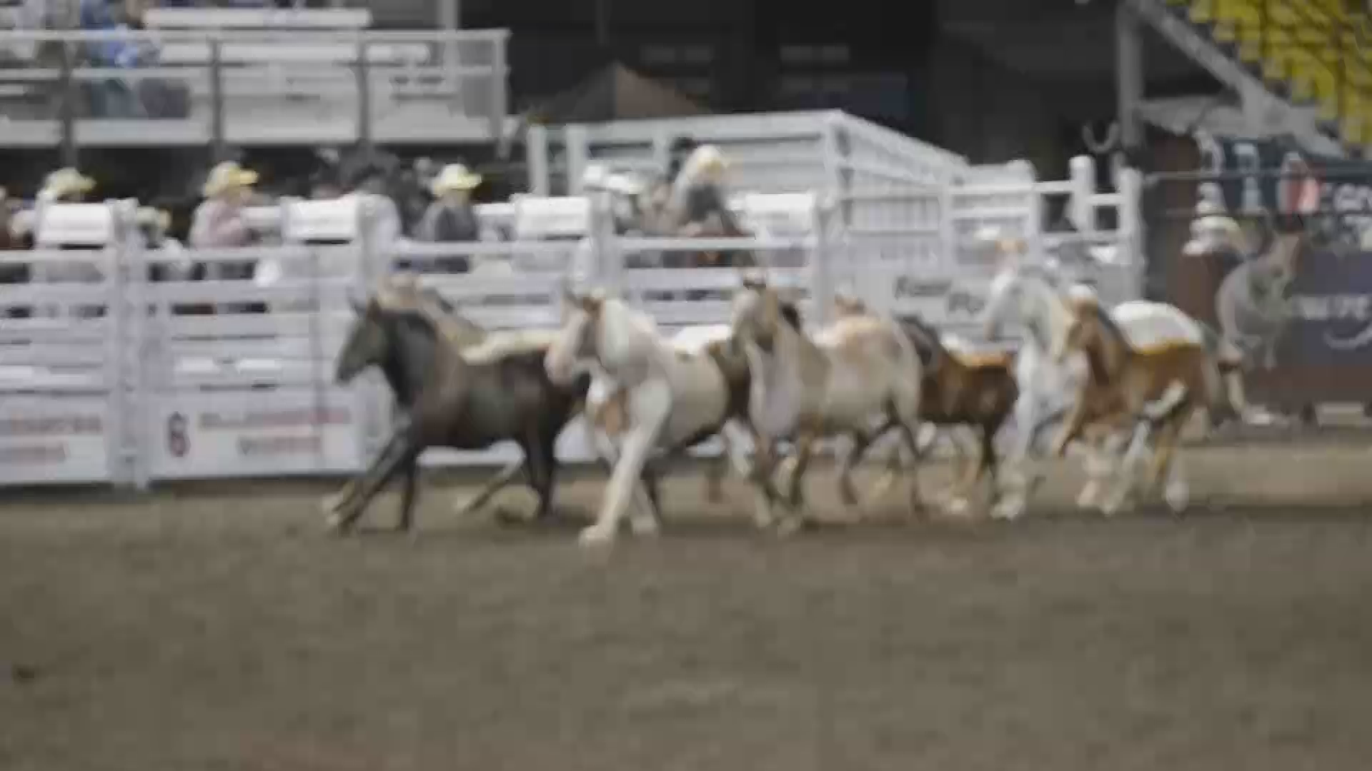 Thumbnail image for E-History, The Ellensburg Rodeo with Mike Allen