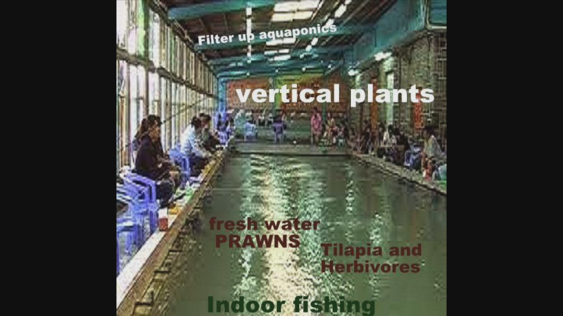 Thumbnail image for GARDENS ON WATER - Aquaponics 2014