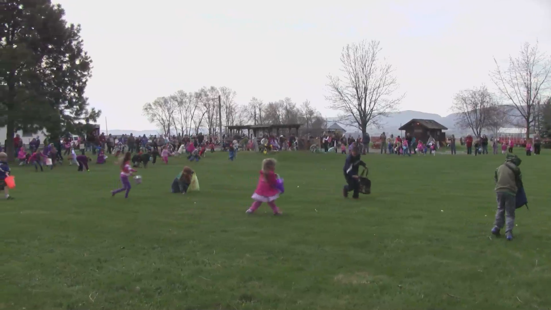 Thumbnail image for Moose Egg Hunt 2914