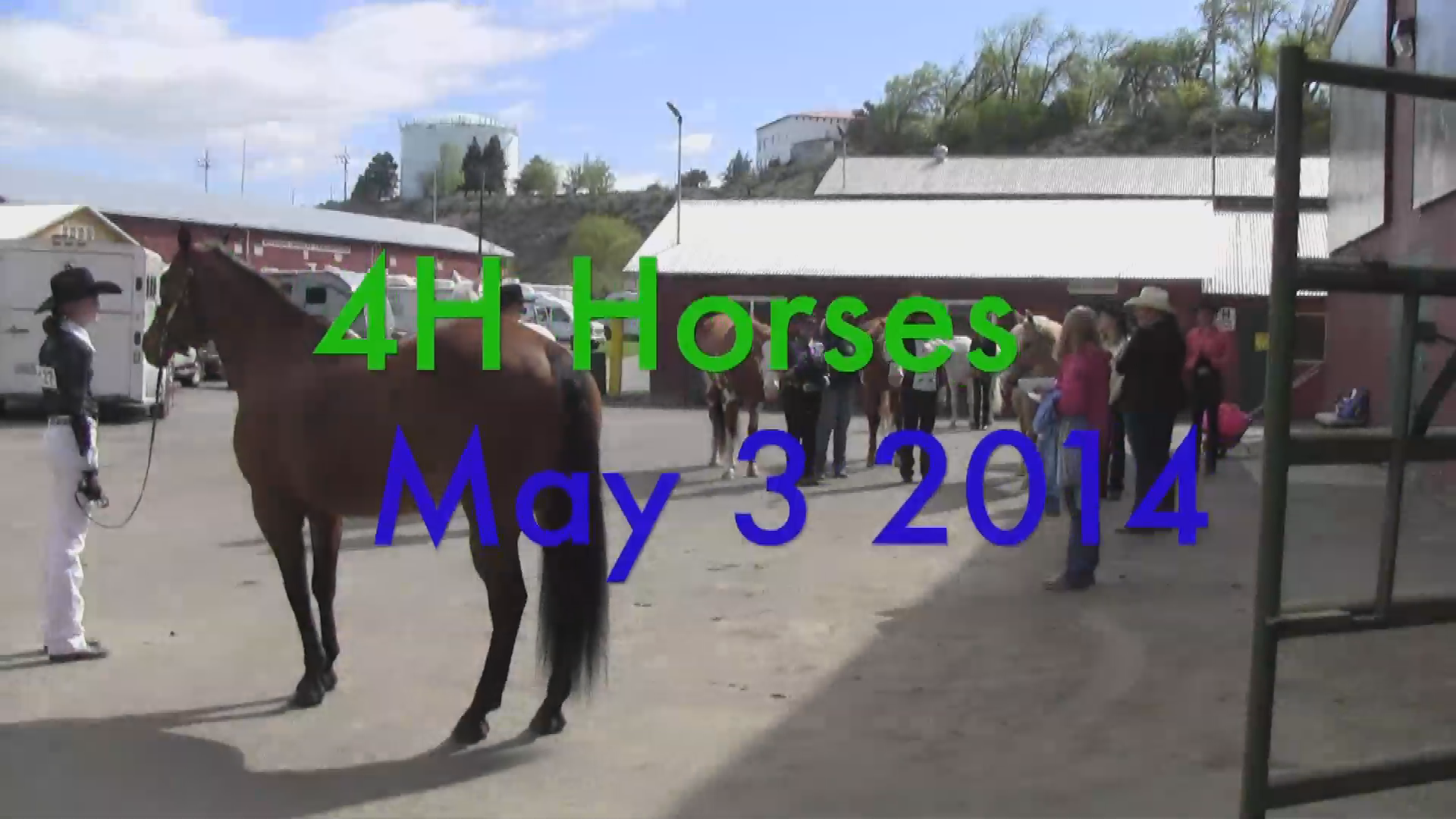 Thumbnail image for Ray_4H Horses