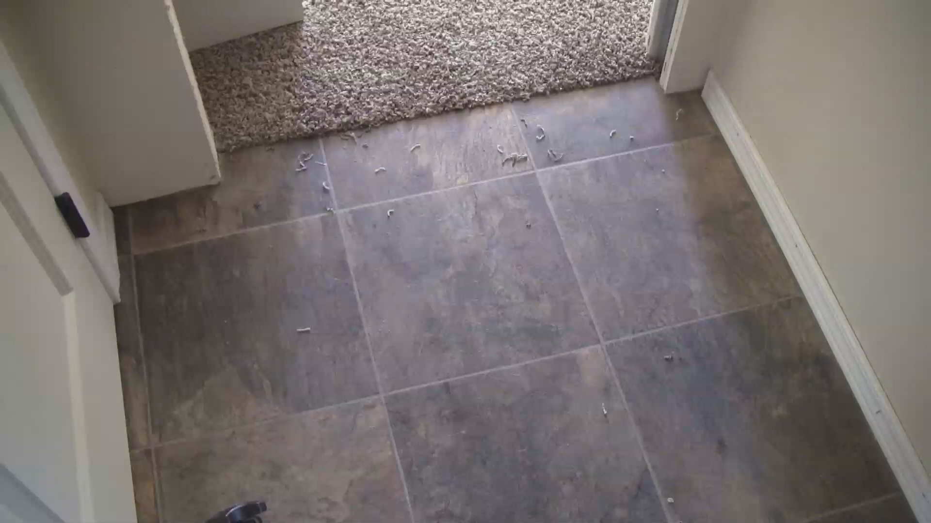 Thumbnail image for Habitat House Cement