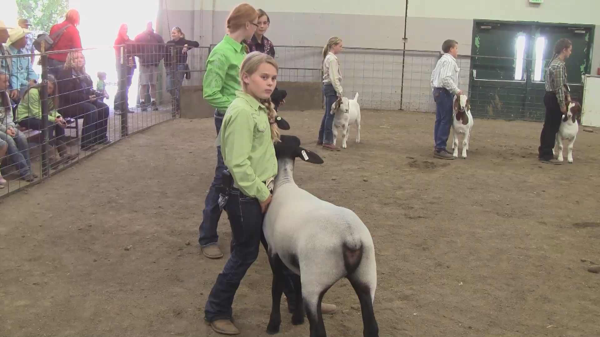 Thumbnail image for Miss Spirit of the West Rotates 4H Animals 2014