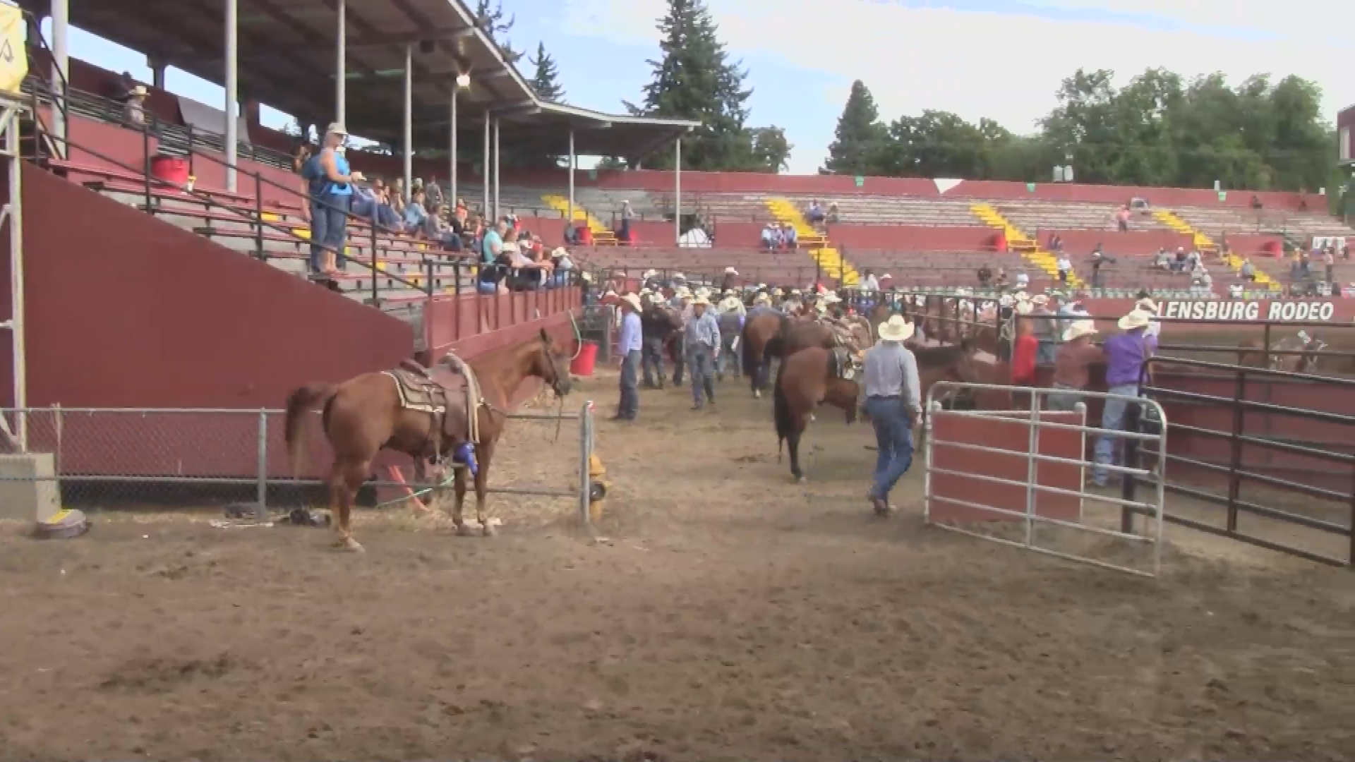 Thumbnail image for Rodeo Slack Steer Wrestling 2014