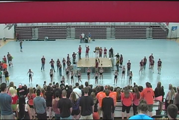 Thumbnail image for Wellington at the Wildcat Cup 2012