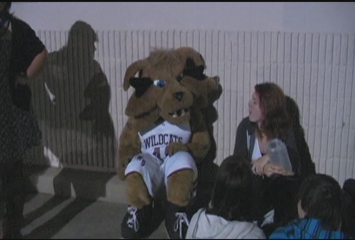 Thumbnail image for Wellington Wildcat Goes Night Shopping 2012