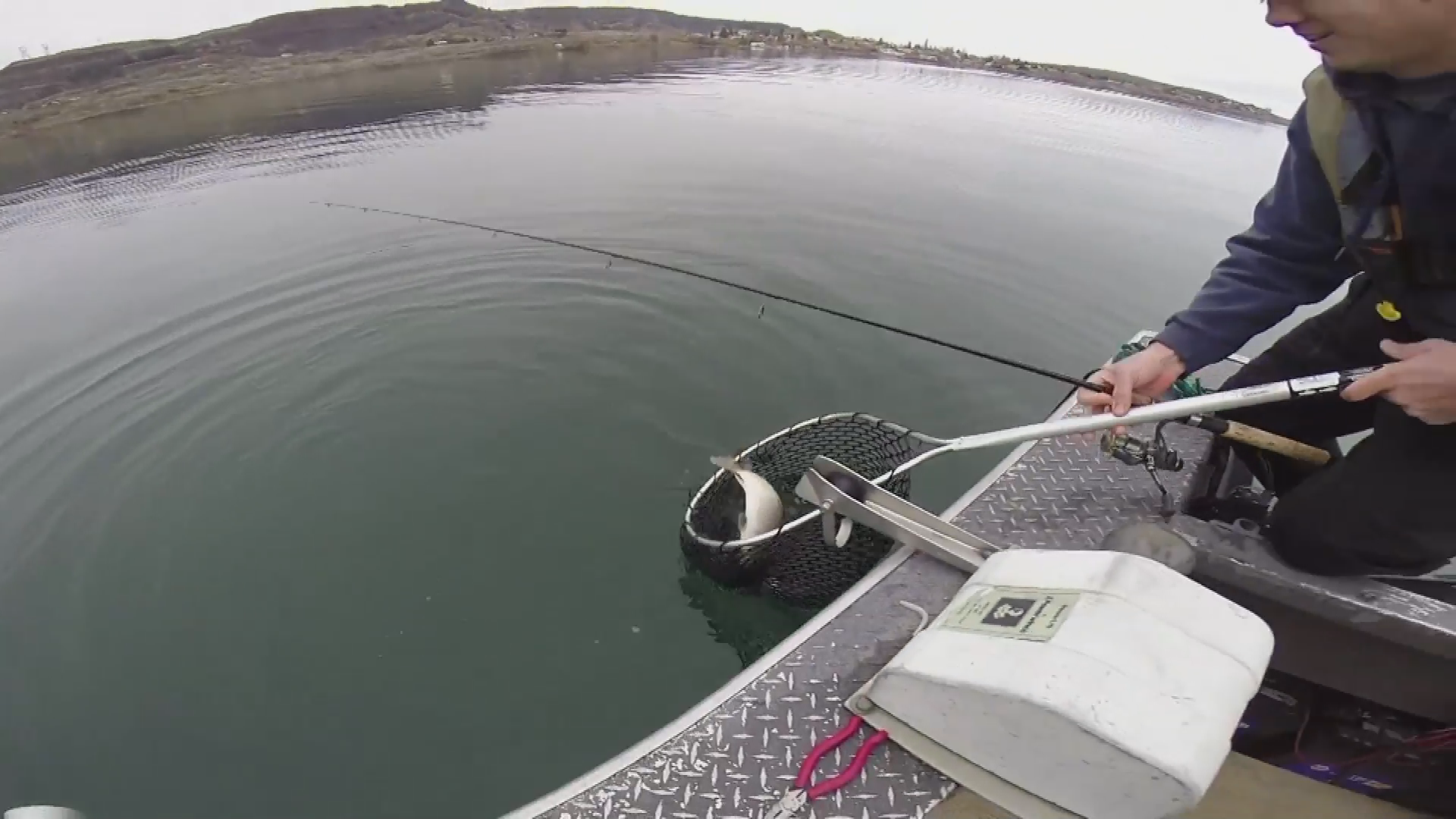 Thumbnail image for Fishing for Lake Whitefish