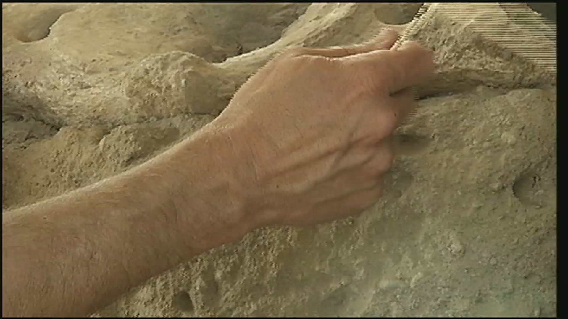 Thumbnail image for CWU Anthropology - Wenas Creek Mammoth